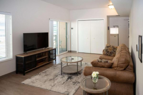 HUGE New Apartment Next to Mayo, Free Parking